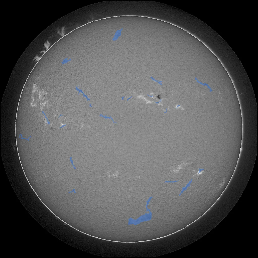 Full solar disk in H-Alpha with expert filament annotations overlaid in blue